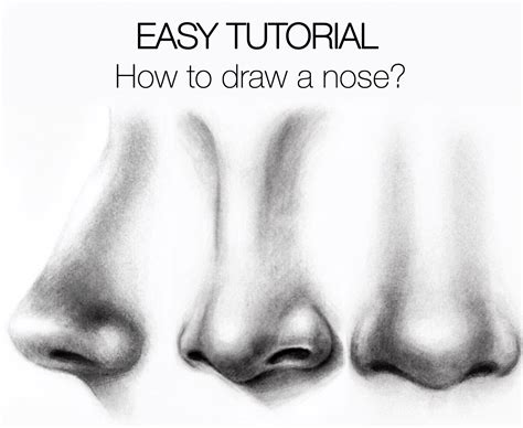 Boy nose drawing step by step. You can define it’s bridge with a curve on one side. Don’t outline the other side as it will make the drawing look odd. For the bottom portion of the nose draw a pair of curves for each of it’s sides another pair for the nostrils and one curve for it’s bottom (as show in the example).